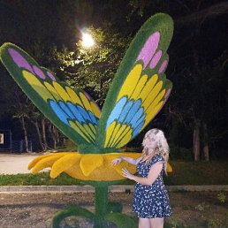 ���� ������, ����������, 44 ���� - ��������� 10 ����� 2026