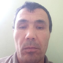 ����, ���������, 41 ���