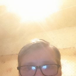 ���� ������ �������, �����, 38 ��� - ��������� 14 ����� 2026