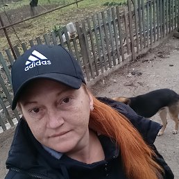 ���� �������, ����� �������, 37 ��� - ��������� 24 ����� 2026