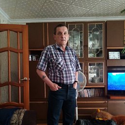 , 54 , 