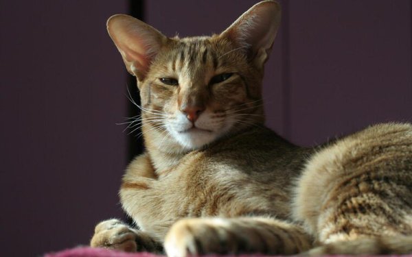 .  .   .       -   .  ...