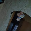 ���� ������, �������� - ��������� 26 ����� 2025 � ������ ���� ����������