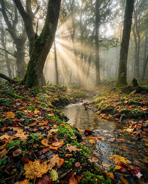 ������ ���������� - 10 ����� 2026 � 08:07 - 3