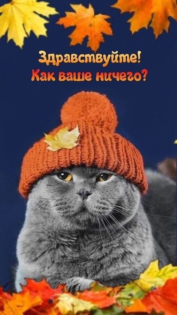 ОБО ВСЕМ - 12 октября 2025 в 15:17