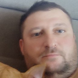 ������, �����, 41 ���