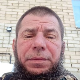 �����, �������, 43 ����