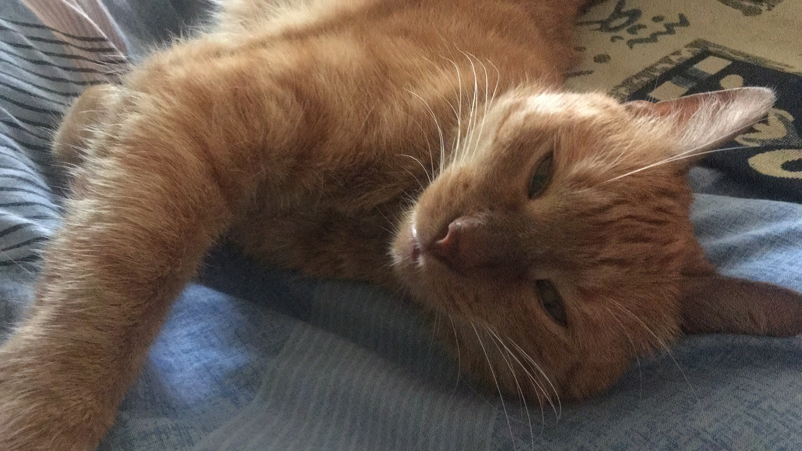   - 4  2025  01:04 - 2