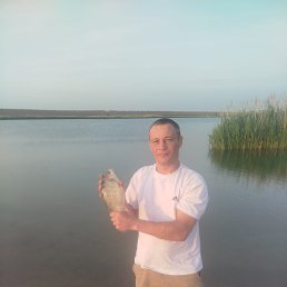 , 37, 