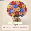���� **Stranger**, ��������� - ��������� 6 ����� 2026 � ������ ���� ����������
