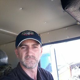 ������, 46 ���, ������