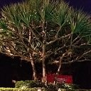 ���� �����, ������������, 42 ���� - ��������� 29 ������� 2023 � ������ ���� ����������