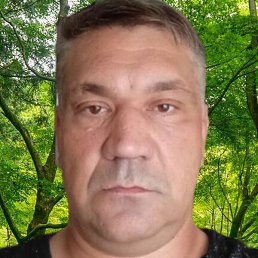 �������, ���������, 46 ���