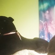 , 28 , 