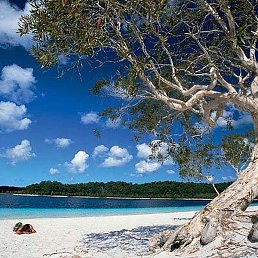 Rasta, ��������, 32 ����