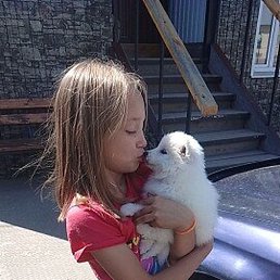 �����, �����, 44 ����