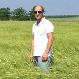 ����, ����, 54 ����