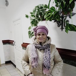 , 64, 