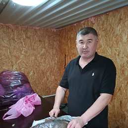 ����, 40 ���, ����