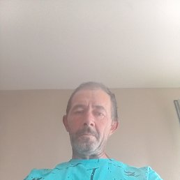 , 50, 