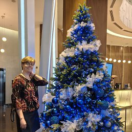 ���� �������, ������, 48 ��� - ��������� 16 ������� 2026