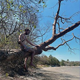 �������, 36 ���, ����