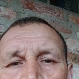 , 46, 
