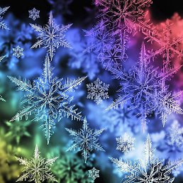 ������, ������, 44 ����