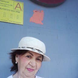 ���� ����, ���������, 64 ���� - ��������� 8 ������ 2025