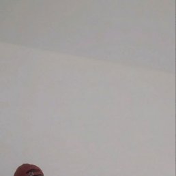 , 23, 