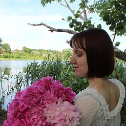 ����, �����, 26 ���