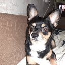 ���� ������, ������, 51 ��� - ��������� 8 ������ 2024 � ������ ���� ����������