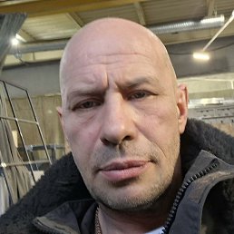 �������, �����-���������, 50 ���