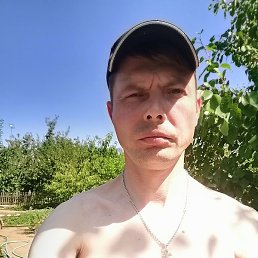 �������, �����, 41 ���