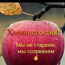 ���� �.�, ����, 48 ��� - ��������� 15 ����� 2024 � ������ ���� ����������