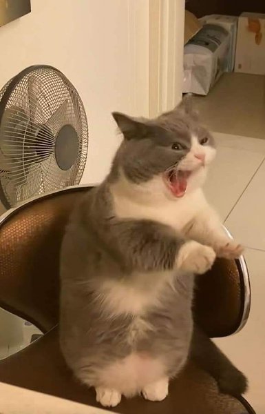 � ����� �������, ���� �� �����, ��� � �� ���� - 2