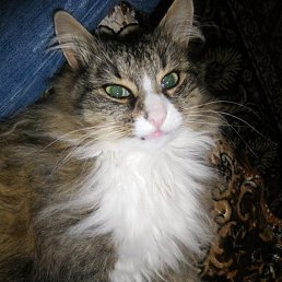 �����, ������������, 25 ���