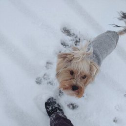 �������, ���������, 47 ���