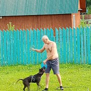 ������� �����, 46 ���, �����