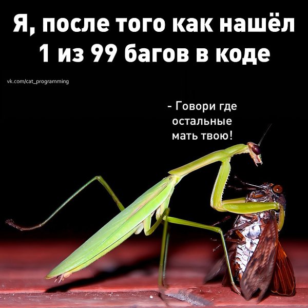 /zev/null - 29  2025  08:21
