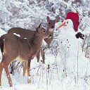 ���� ����, ������ - ��������� 6 ������ 2026 � ������ ������ ��������