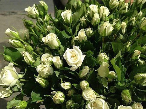 ������ ������� - 11 �������� 2025 � 09:13