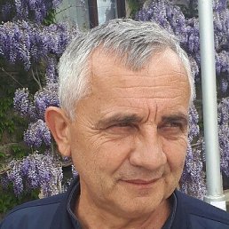 , 56, 