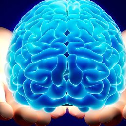 ���������, ������������, 61 ���