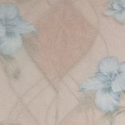 �����, 56 ���, ������