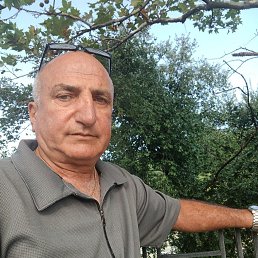 , 54 , 
