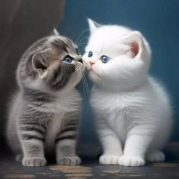 �����, ������, 33 ����