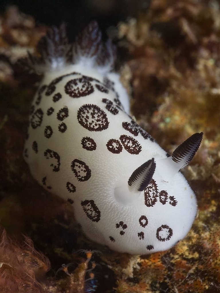 ,      -    .  ,  . ...