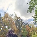 ���� ��������, ������ �������� - ��������� 14 ������ 2025 � ������ ������ ��������