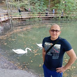 �������, 41 ���, �����